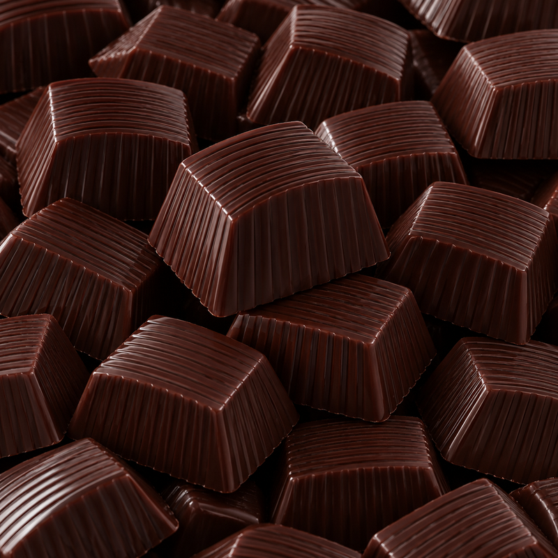 Praliné au sel de mer - Chocolat Noir (x5)