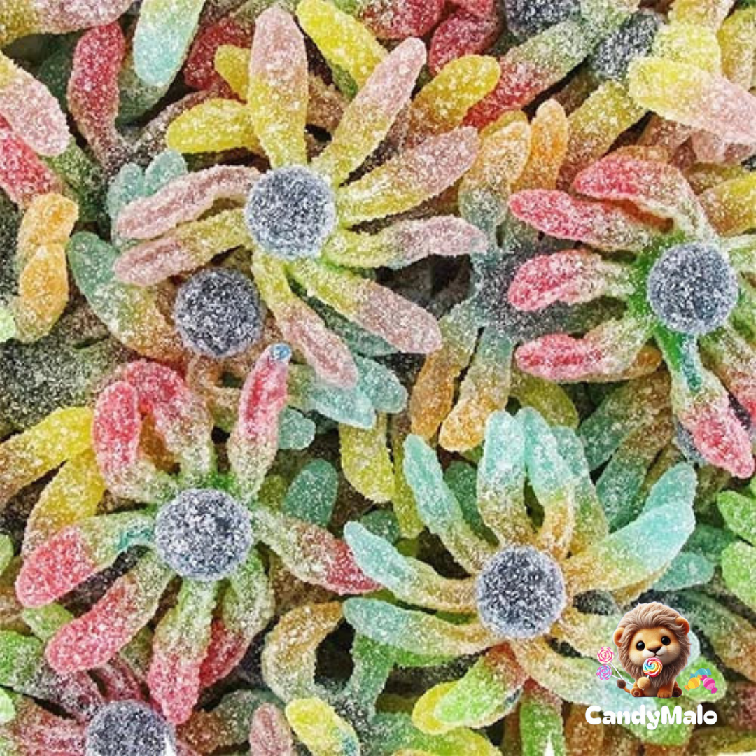Poulpes (95g)
