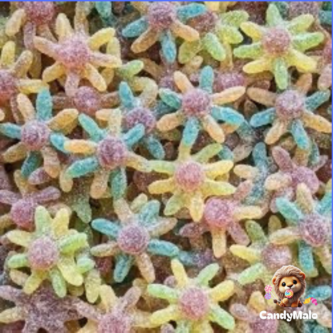 Pieuvres tropicales (100g)