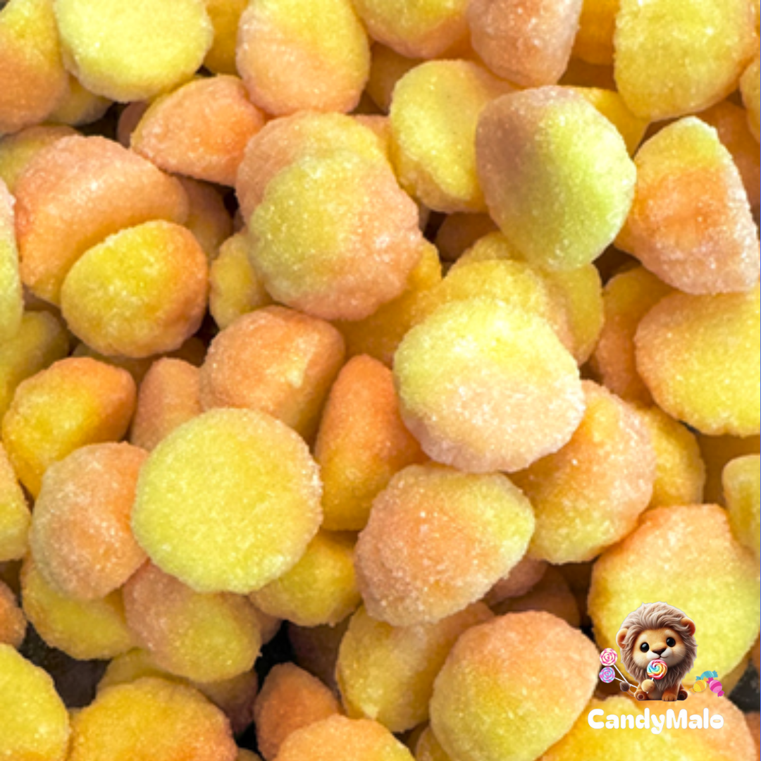 Crème renversée (100g)