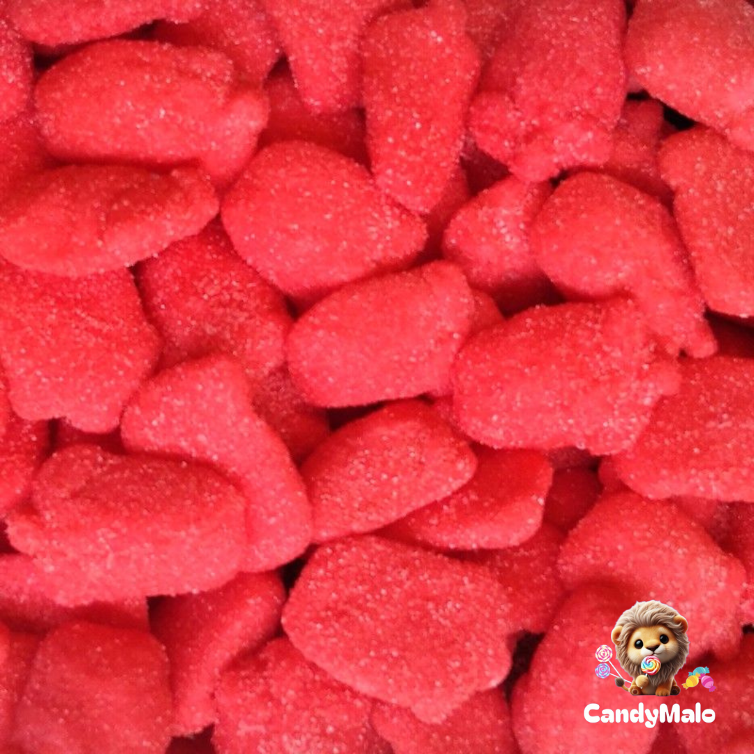 Fraises fouettées (100g)