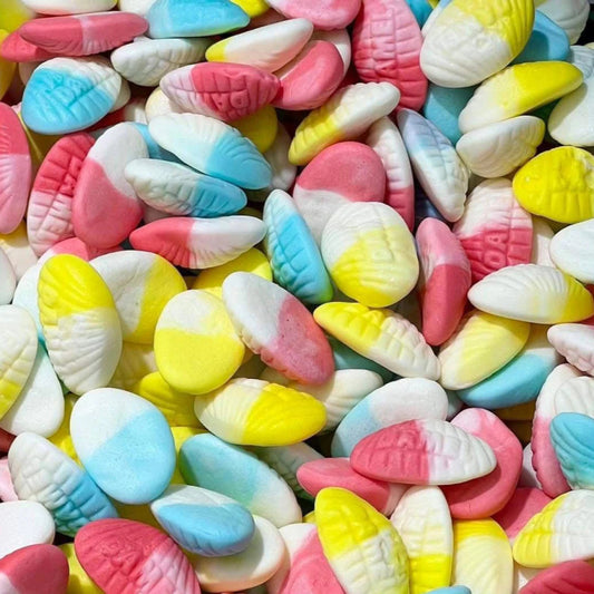 Palourde (100g)