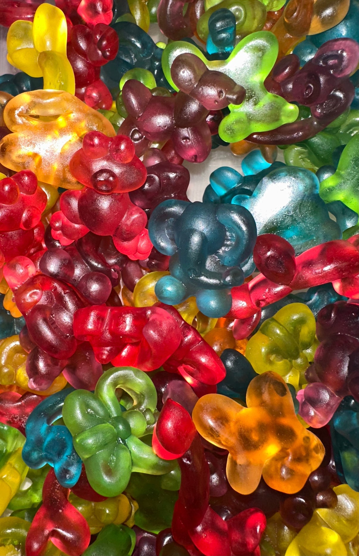 Ballons Animaux (100g)