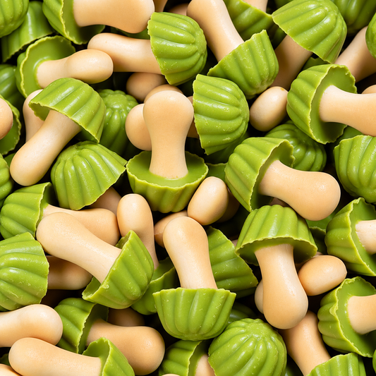 Champignon Pistache (100g)