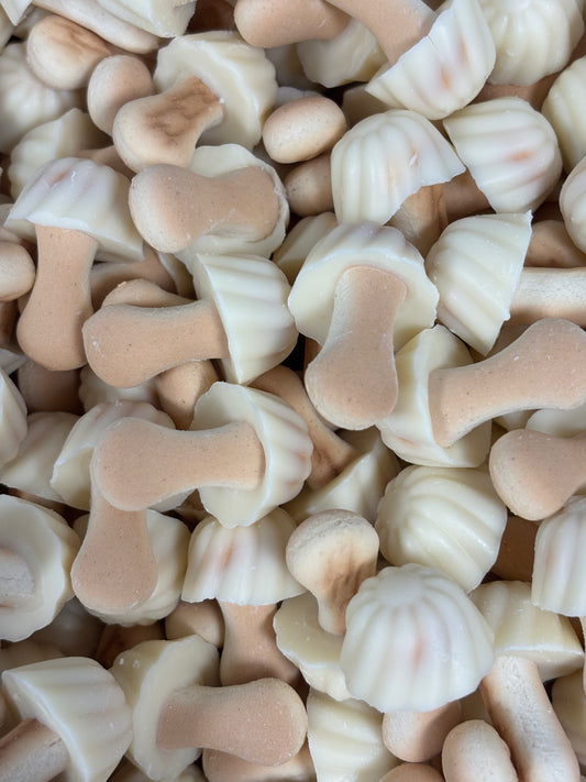 Champignons Chocolat Blanc / Biscuits (x10)