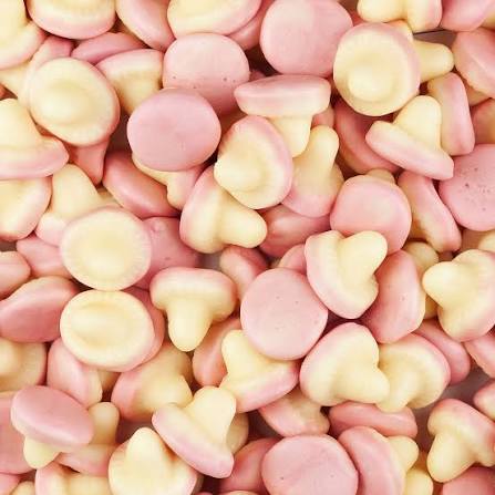 Champignons Lisses (100g)